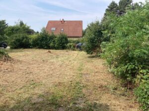 Blick vom Gartenhaus Richtung Grundstückseingang